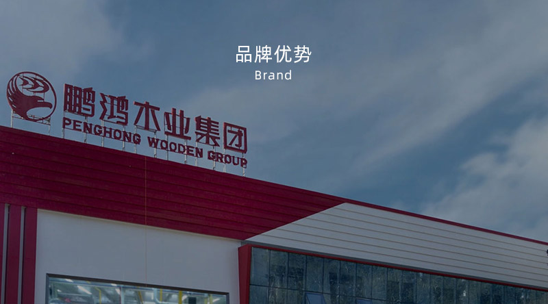 板材品牌、全屋定制品牌、生態(tài)板十大品牌